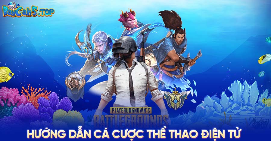 Hướng dẫn cá cược thể thao điện tử chưa bao giờ dễ đến thế