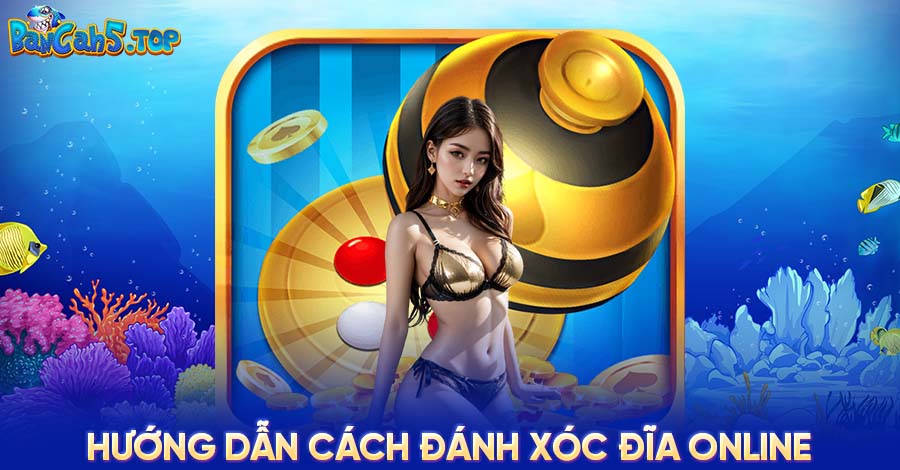 Hướng dẫn cách đánh Xóc đĩa Online lên trình nhanh chóng