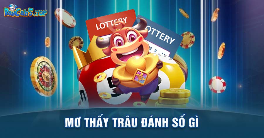 Lý giải: Nằm mơ thấy trâu đánh số gì để “ăn chắc mặc bền”?